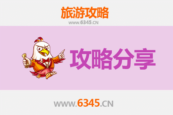 龙岩上杭至湄洲岛旅游攻略：跟团还是自由行深度解析